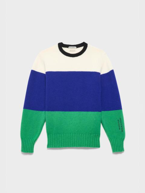 JW Anderson WOMENS KNITTED STRIPE JUMPER IN ROYAL BLUE