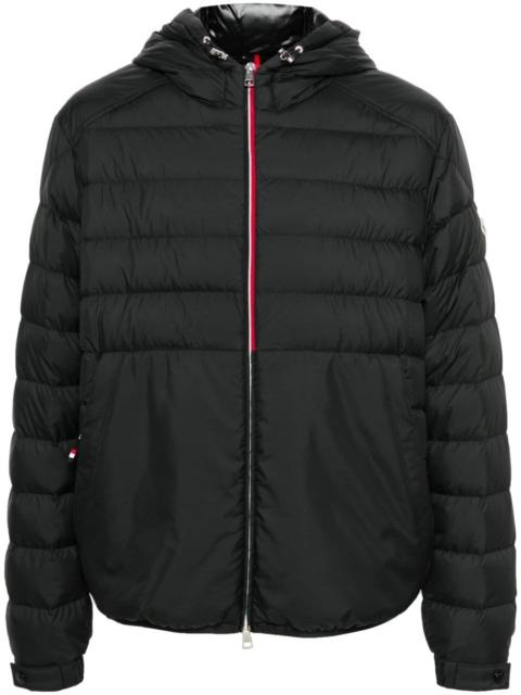 Glarey jacket
