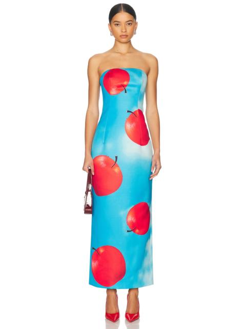 LEO LIN Rayna Bustier Maxi Dress