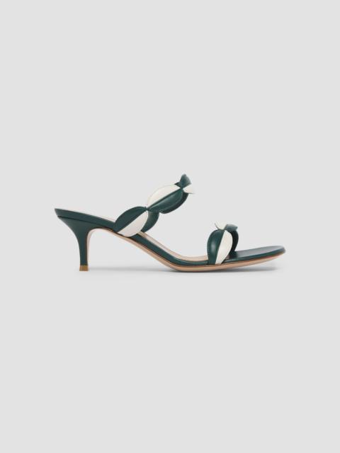 Gianvito Rossi Women's 55MM Colorblocked Leather Sandals - Off White Green