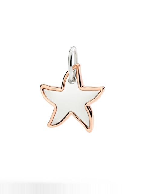 DoDo SILVER & ROSE GOLD XL STAR CHARM