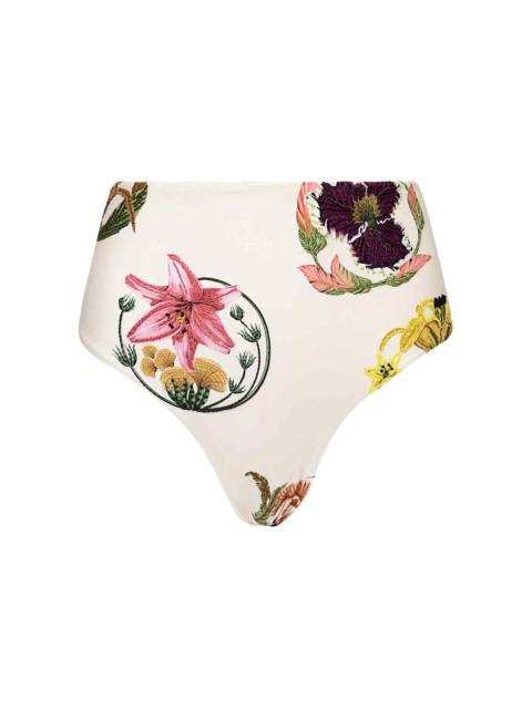 Agua by Agua Bendita Magenta Marina Bikini Bottom multi