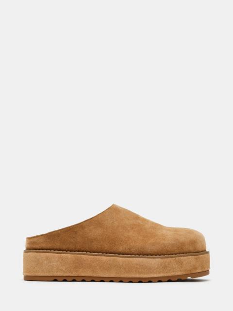 STEVE MADDEN MOAA CHESTNUT SUEDE
