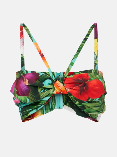 Dolce & Gabbana Bow-detail floral cotton bra top