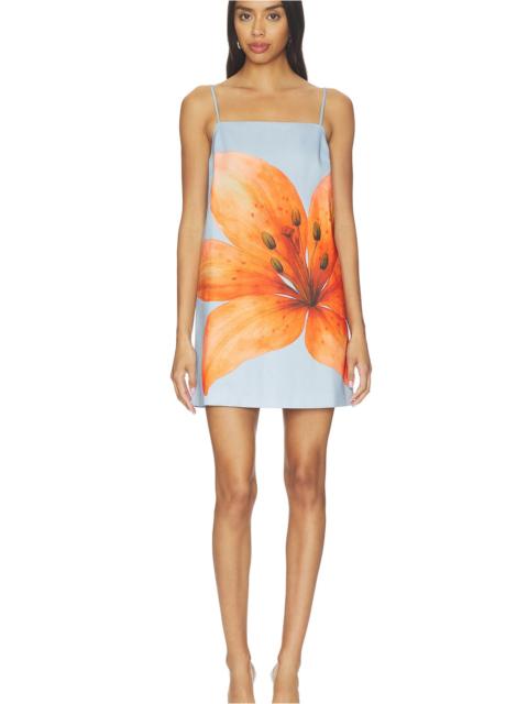 Line & Dot Avah Mini Dress