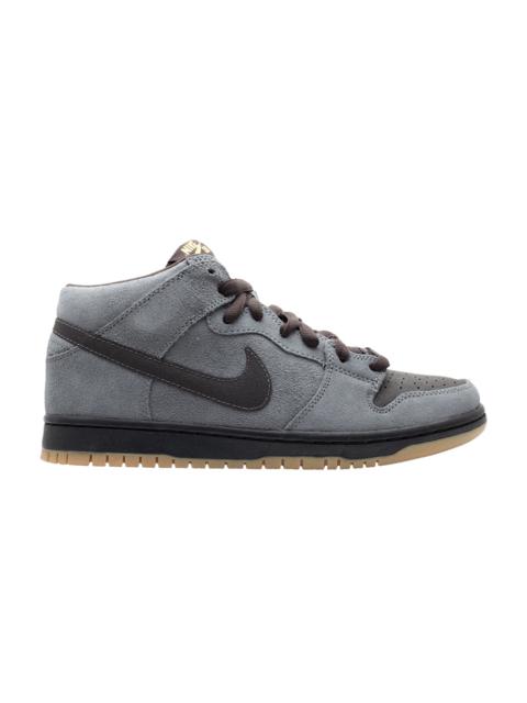 Dunk Mid Pro Sb