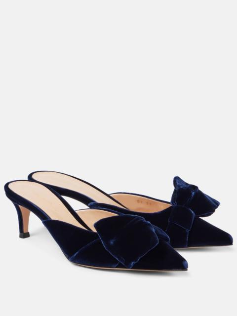 Gianvito Rossi 55 bow-detail velvet mules