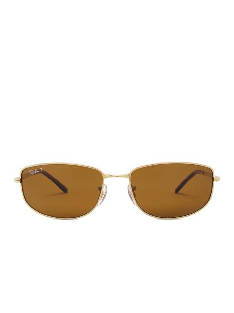 Oval Sunglasses