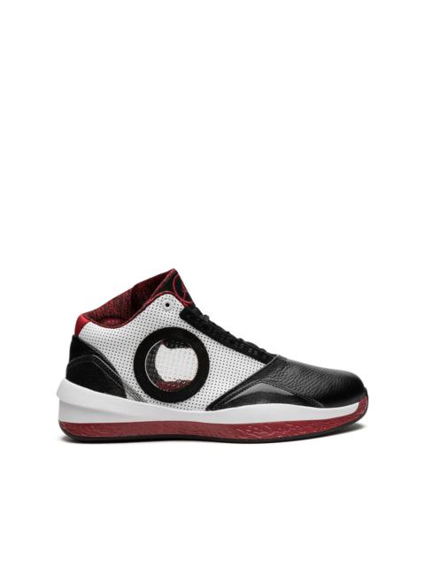 Air Jordan 2010 sneakers