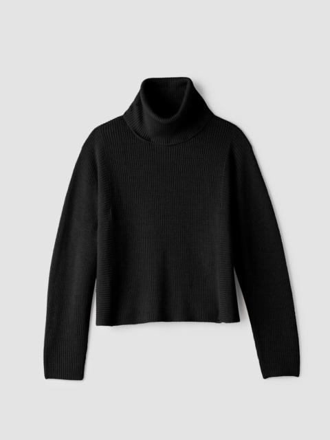 EILEEN FISHER Italian Merino Turtleneck Top in Regenerative Wool