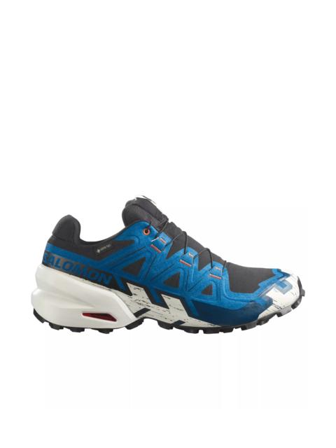 SALOMON SPEEDCROSS 6 GTX