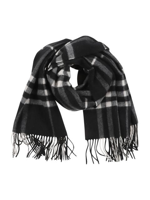 Burberry Scarves