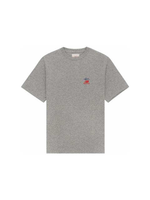 AIMÉ LEON DORE Aime Leon Dore New Balance Graphic Logo Tee Grey