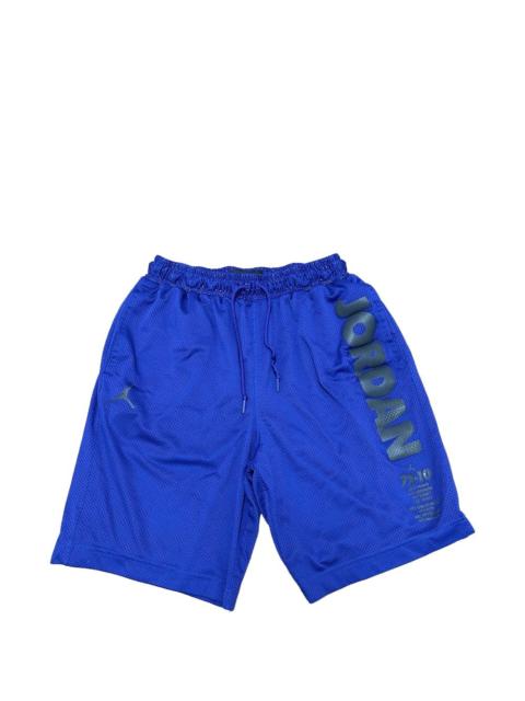 Jordan legacy 11 mesh shorts