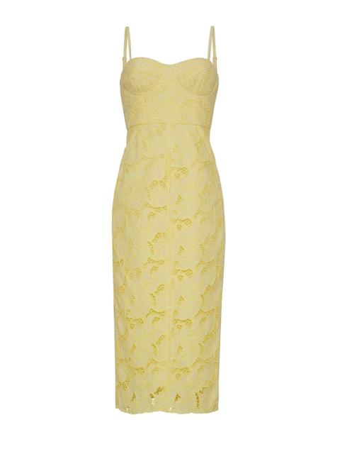Cara Cara Camille Dress
Flirtatious Flare and Scalloped Lace Romance