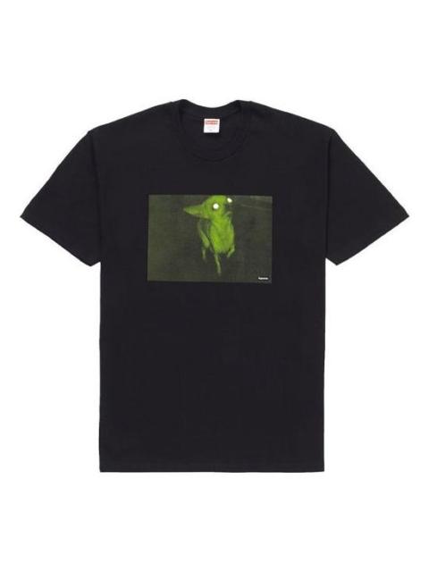Supreme 대 FW18 Chris Cunningham Chihuahua 검정 티 SUP-FW18-834