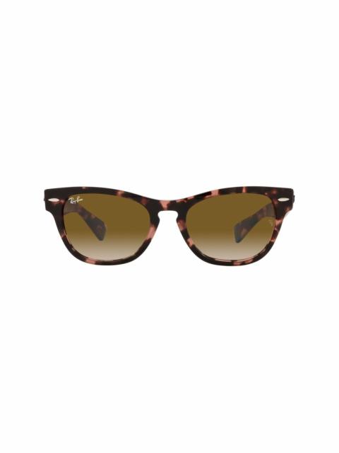 Ray-Ban RB2201 cat-eye frame sunglasses