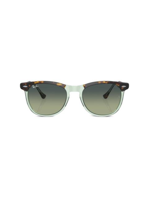 Ray-Ban Eagle Eye round-frame sunglasses