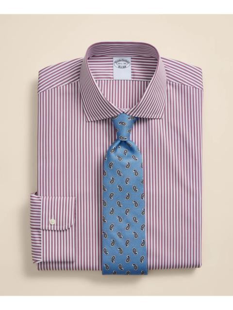 Brooks Brothers Pure Supima® Cotton Regular-Finish English Spread Collar, Stripe Dress Shirt