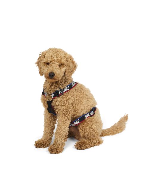 PALACE BASICALLY A DOG HARNESS BLACK / MULTI