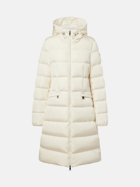 Moncler Avocette down coat