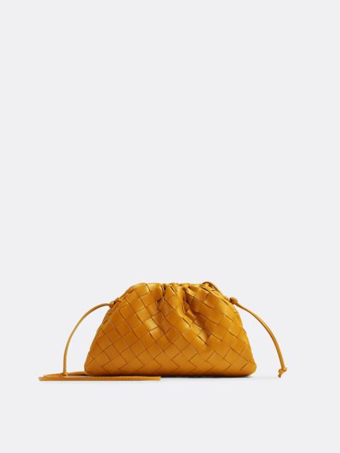 Bottega Veneta mini pouch