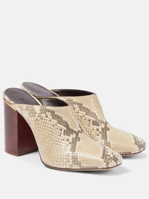 Chloé Ambre snake-effect leather mules