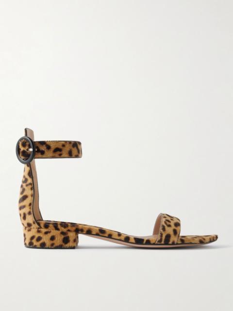 Gianvito Rossi Portofino 20 leopard-print pony hair sandals Leopard print