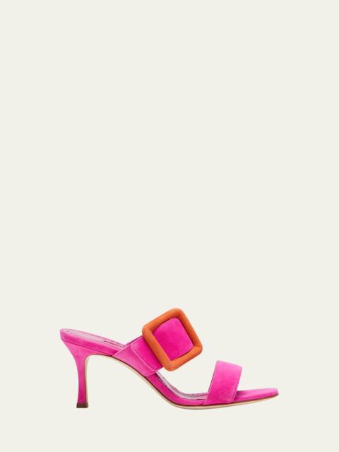 Manolo Blahnik Gable 70mm Bicolor Suede Buckle Sandals
