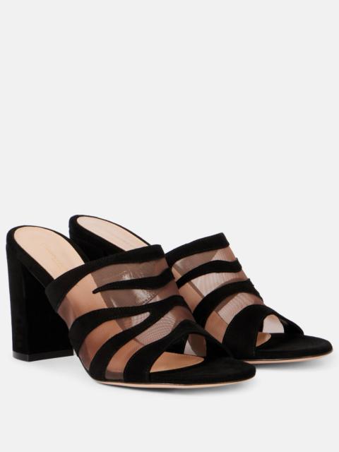 Gianvito Rossi Suede and mesh mules