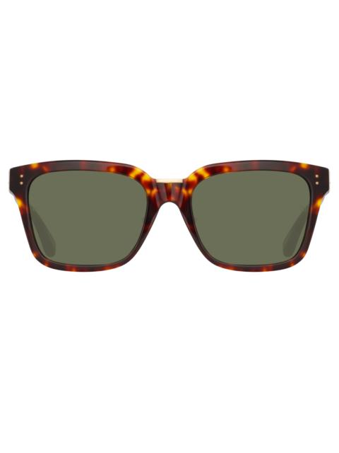 DESIREE D-FRAME SUNGLASSES IN TORTOISESHELL