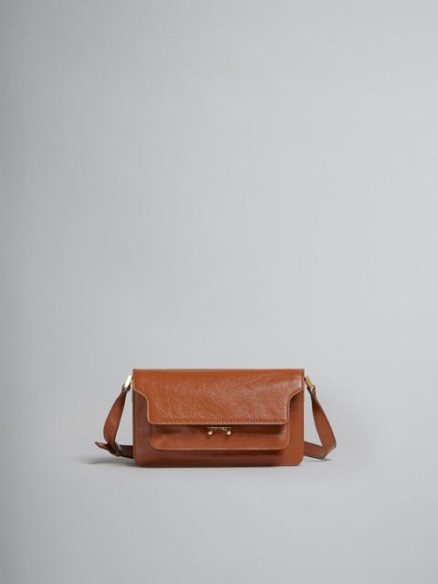 TRUNK SOFT BAG E/W IN BROWN LEATHER