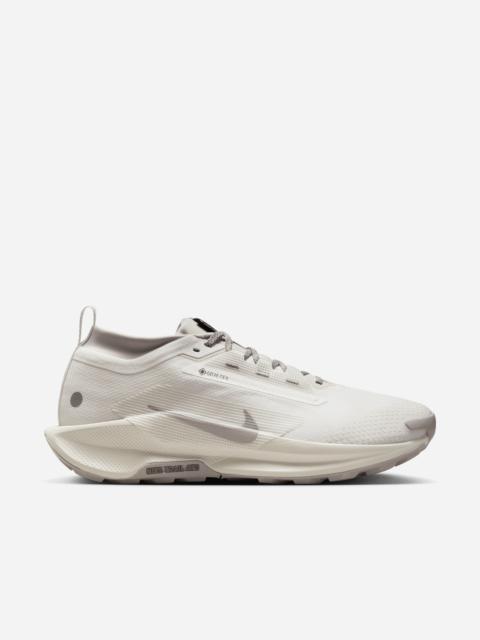 Pegasus Trail 5 GORE-TEX SP