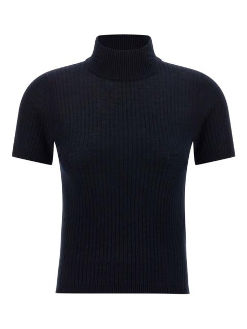 Janagy ribbed high-neck sweater