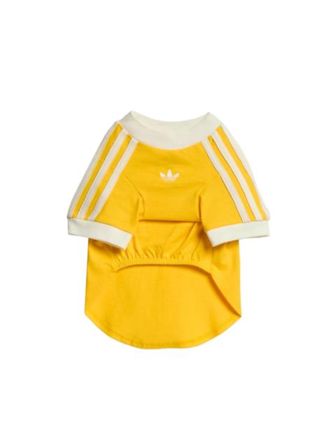 adidas Cali logo-print pet T-shirt