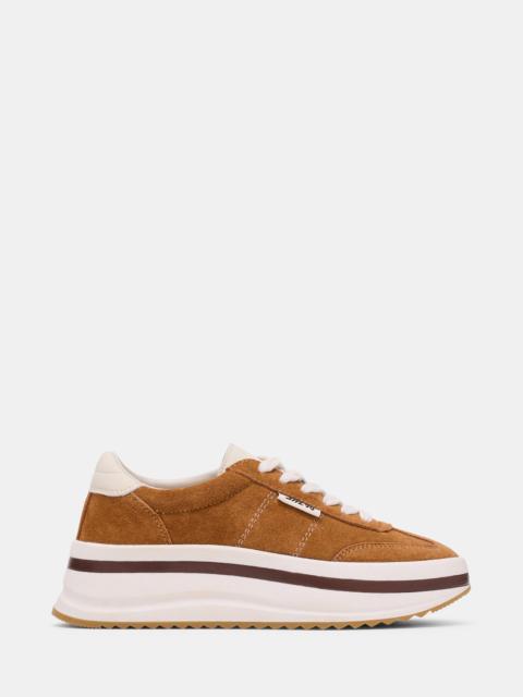 STEVE MADDEN TROPHY CHESTNUT MULTI