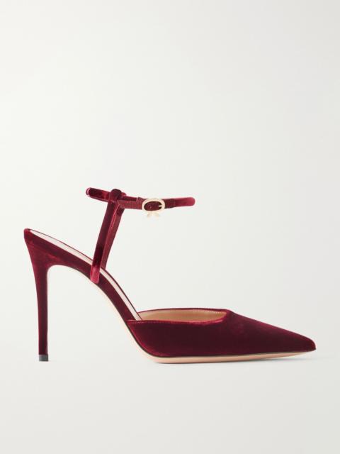 Gianvito Rossi Velluto 95 velvet pumps Burgundy