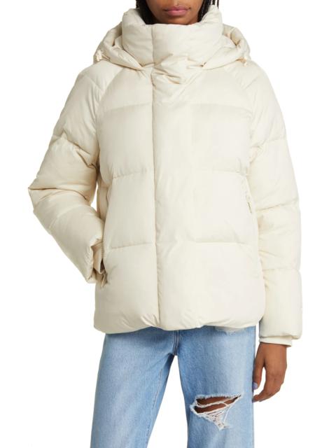 Hooded Puffer Jacket