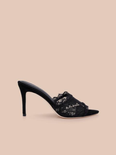 L'AGENCE Penn Mule