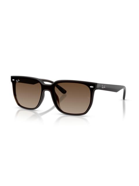 Ray-Ban RB4466D
