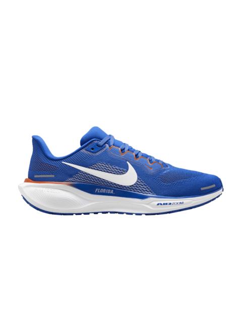 Nike Florida Pegasus 41 남자 나이키 대학 도로 발판