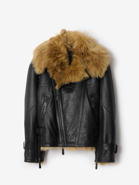 Burberry Cropped Shearling Aviator Jacket