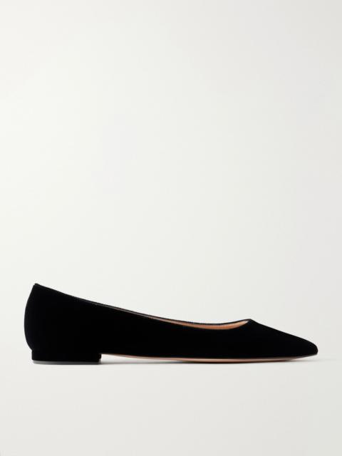 Gianvito Rossi Gianvito velvet ballet flats Black