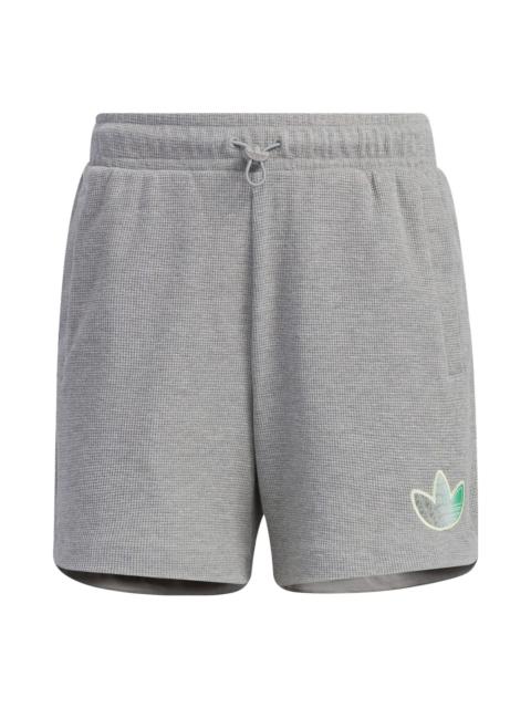 adidas (WMNS) adidas Shorts 'Grey' IK8623