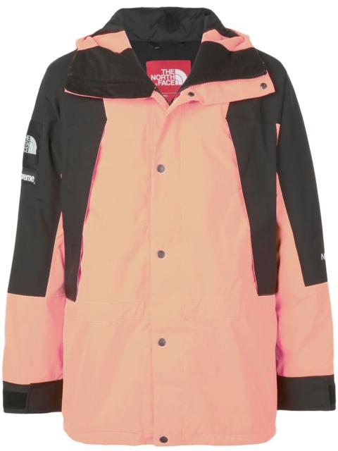 TNF Mountain Light Jacket