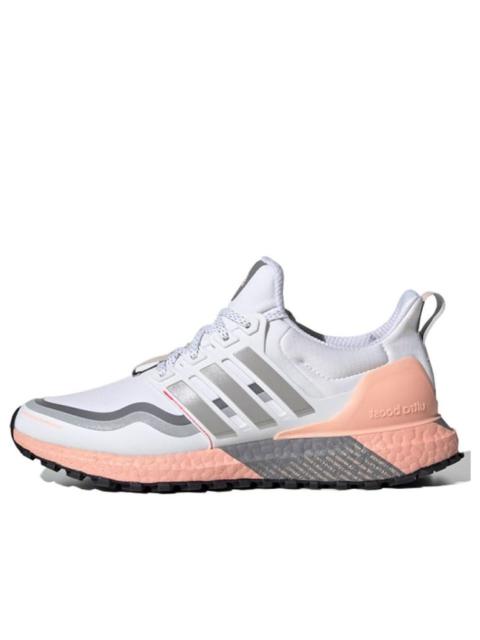 adidas (WMNS) adidas UltraBoost Guard 'White Grey' FW5481