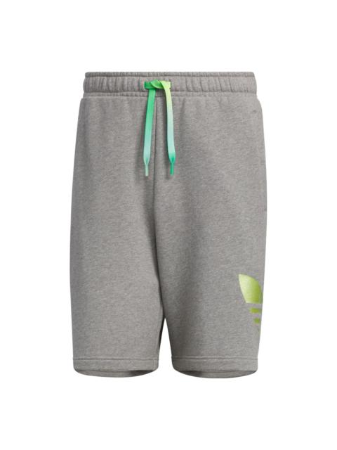 adidas adidas Originals Knit Shorts 'Grey' IP7544