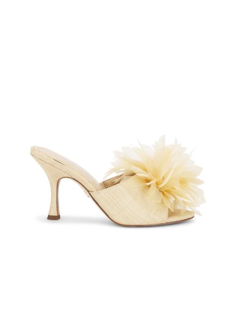 Sam Edelman Jace Mule