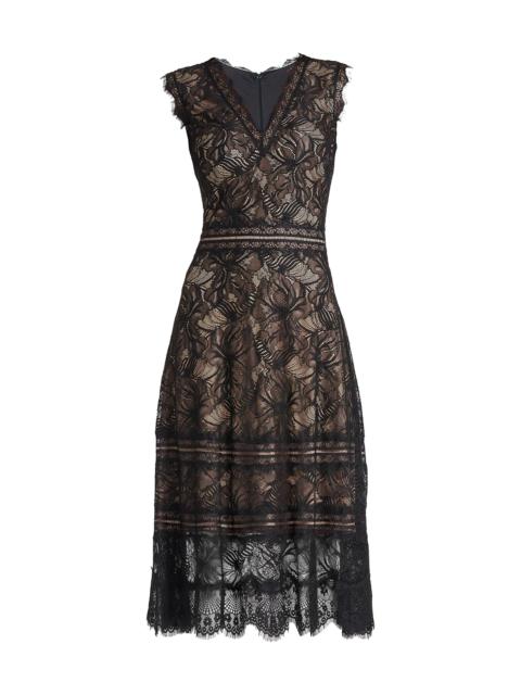 TADASHI SHOJI Women's Lace Fit & Flare Midi-Dress - Black Tan