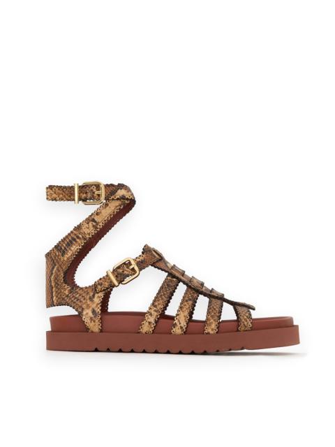 Zimmermann GOLDIE GLADIATOR